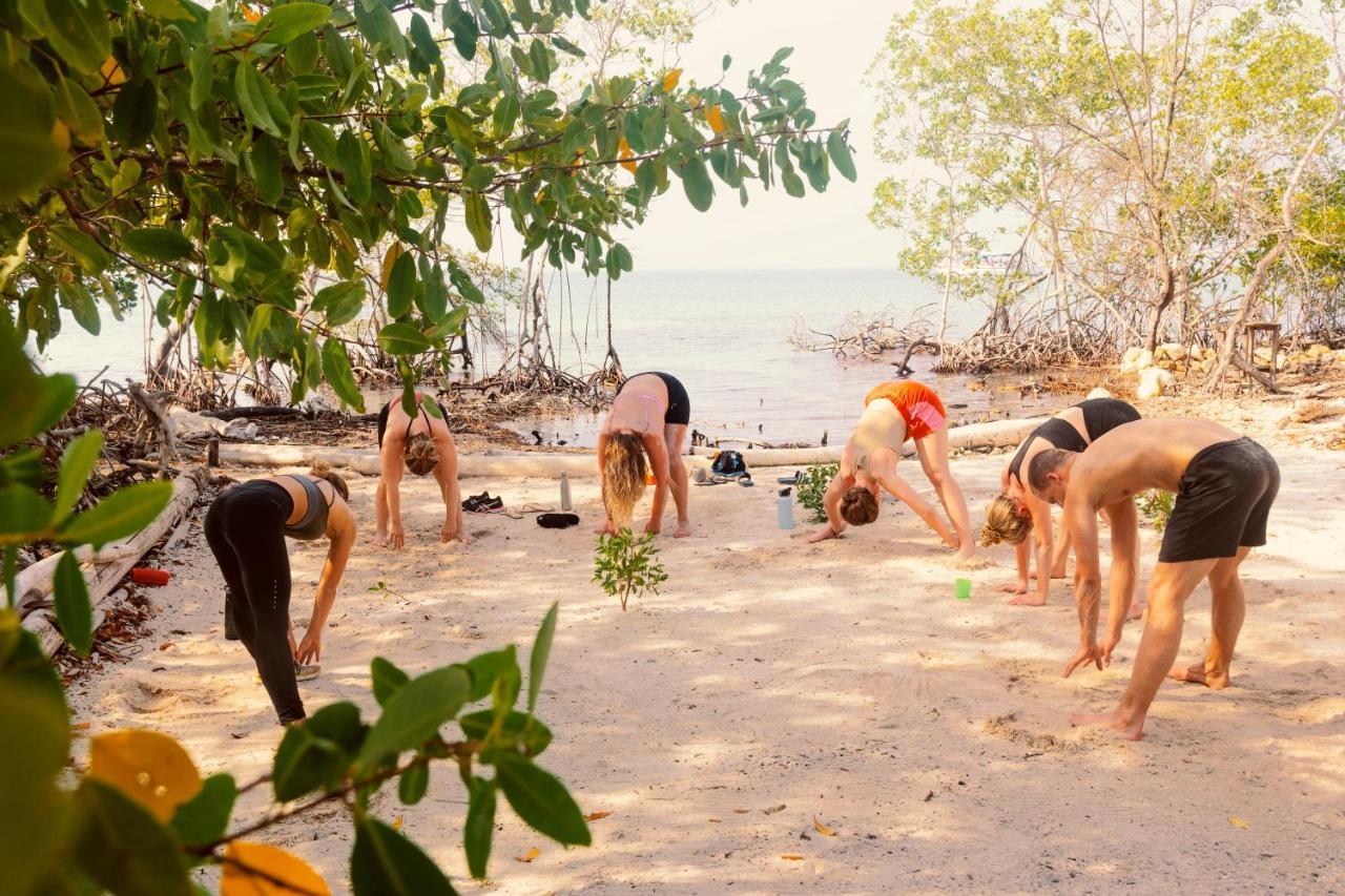 Santa Lova Eco-Hostel Isla Tintipan Tintipan Island Zewnętrze zdjęcie