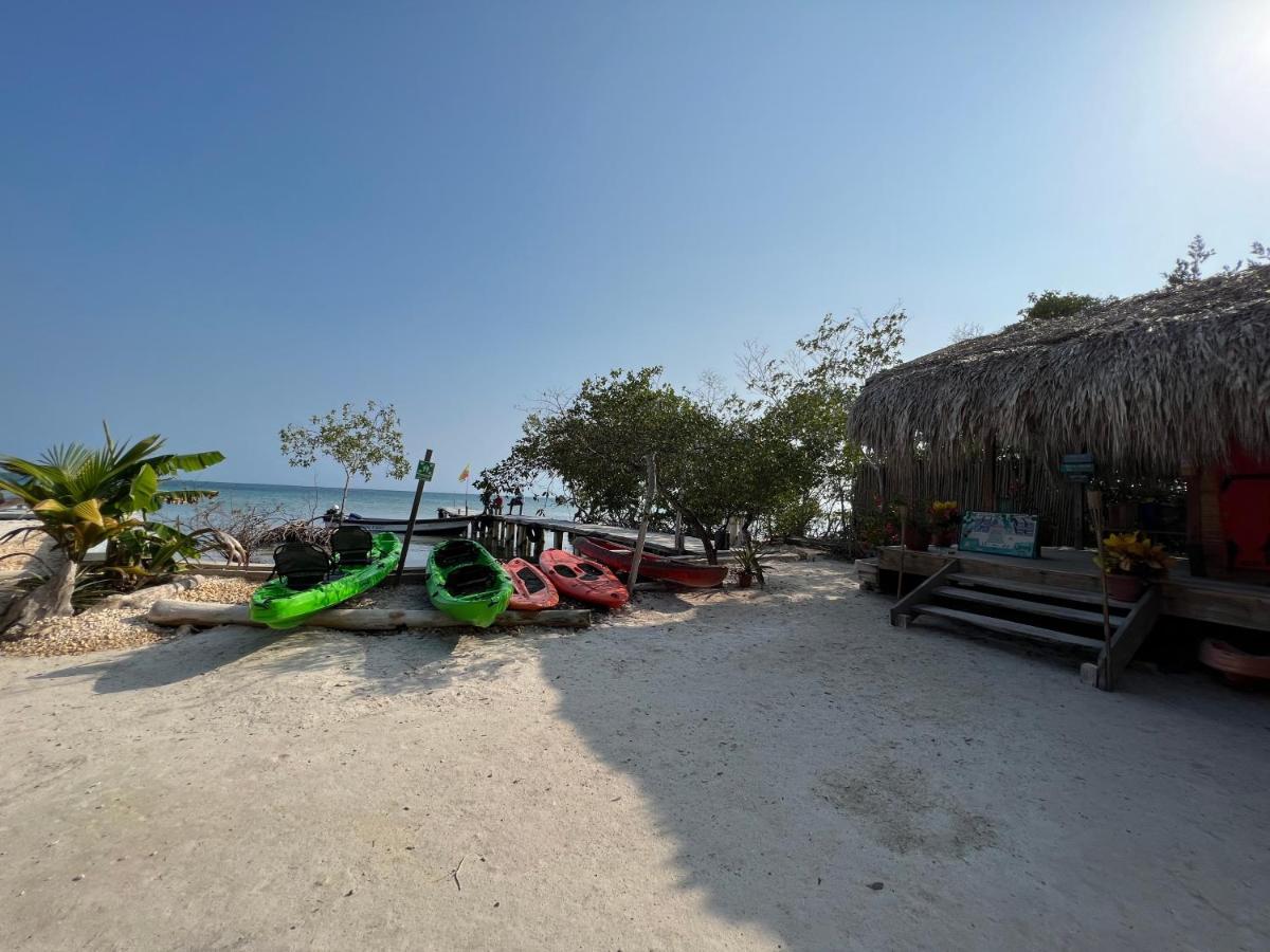 Santa Lova Eco-Hostel Isla Tintipan Tintipan Island Zewnętrze zdjęcie