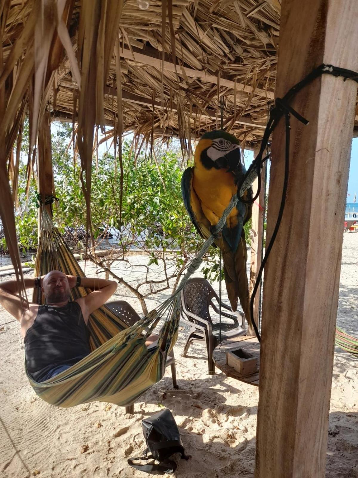 Santa Lova Eco-Hostel Isla Tintipan Tintipan Island Zewnętrze zdjęcie